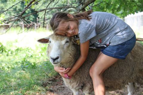 Play With Lambs At This One-Of-A-Kind Springtime Farm Festival In Massachusetts