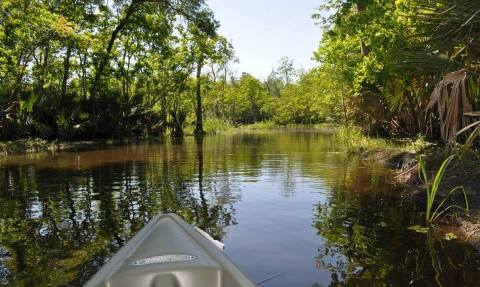 You May Never Want To Leave This Under Appreciated State Park In Louisiana