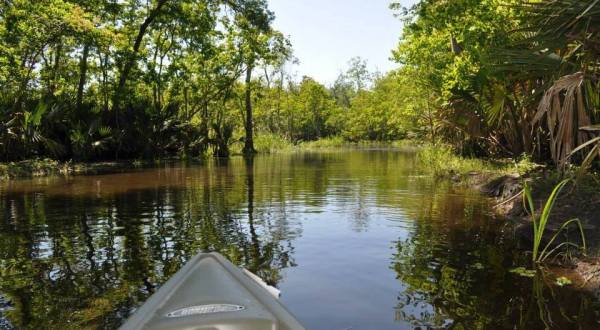 You May Never Want To Leave This Under Appreciated State Park In Louisiana