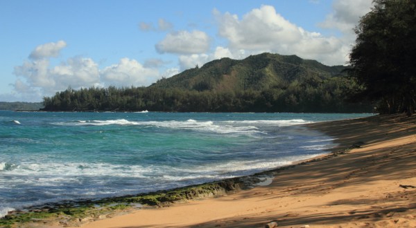 The Beautiful Hawaiian Beach That’s Off-Limits To Swimming But Perfect For A Picnic