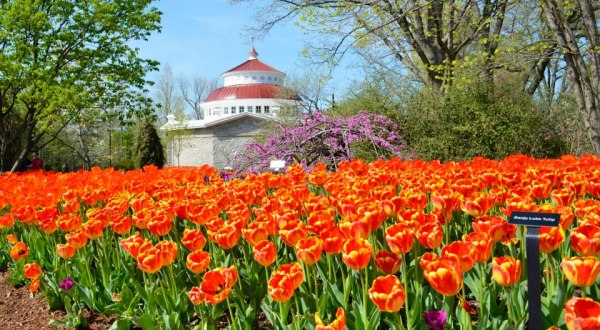 7 Flower-Themed Destinations In Cincinnati That Will Make Your Spring Bloom
