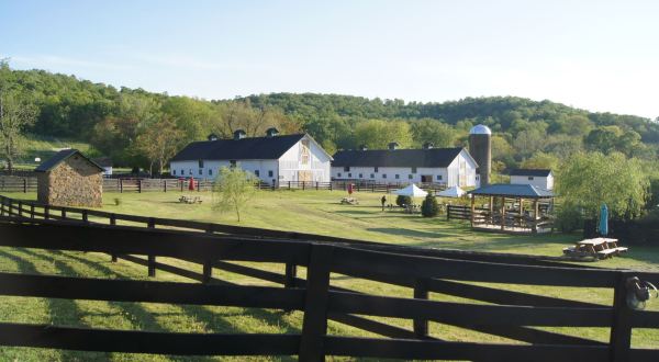 A Trip To This Barnyard Winery Is The Virginia Day Trip You Didn’t Know You Needed