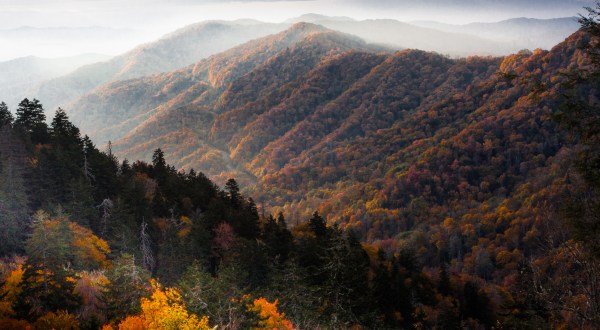 The Most Popular National Park In America Probably Isn’t What You Think It Is