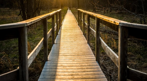 This Hidden Boardwalk Hike Through Virginia Will Take You On An Unforgettable Adventure