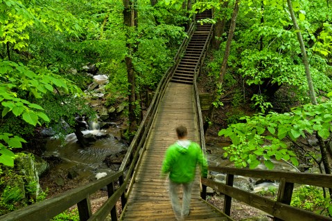 This Beloved Virginia Hike Promises Epic Waterfalls And Tons Of Greenery This Spring