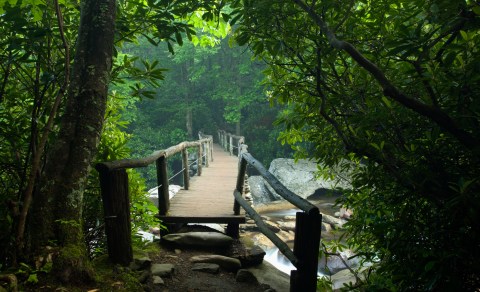 Hike Through The Great Smoky Mountains On This Unforgettable Mountain Trail