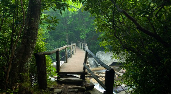 Hike Through The Great Smoky Mountains On This Unforgettable Mountain Trail