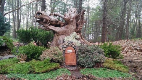 There's A Fairy Gnome Wonderland Hiding In Massachusetts And It's Simply Magical