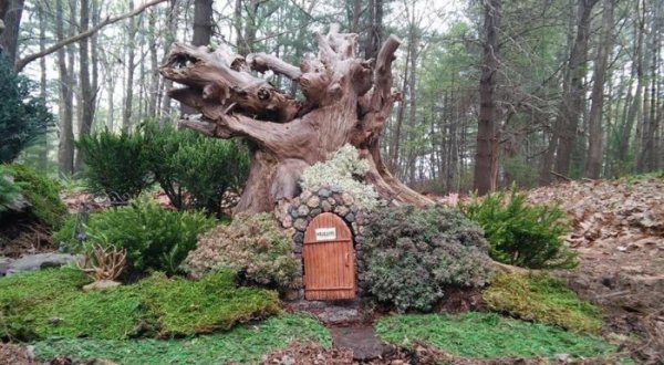 There’s A Fairy Gnome Wonderland Hiding In Massachusetts And It’s Simply Magical