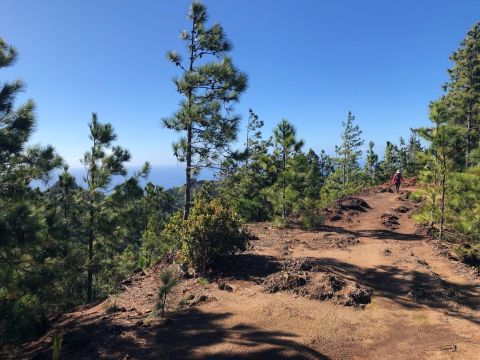 This Mountainside Switchback Trail In Hawaii Is Just The Adventure You're Looking For