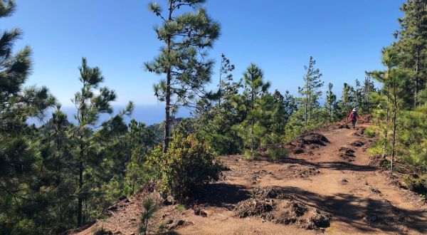 This Mountainside Switchback Trail In Hawaii Is Just The Adventure You’re Looking For