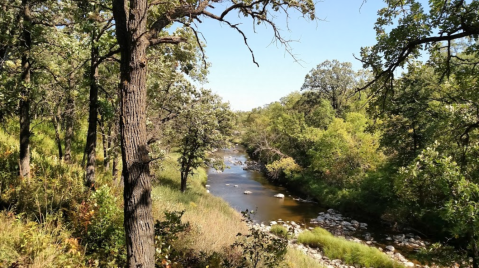 This Old State Park In Minnesota Preserves The State's Mill Roots And You've Got To Visit