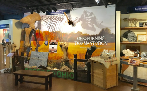 This Unique Museum Near Cleveland Puts Millions Of Years Of History Right In The Palm Of Your Hand