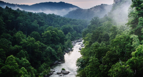 The Heavenly Valley In Virginia That's Home To Over 600 Miles Of Hiking Trails