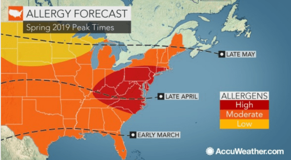 You Might Not Like These Predictions About New Hampshire’s Upcoming Peak Allergy Season