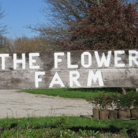 The Dreamy Flower Farm In Kansas You'll Want To Visit This Spring