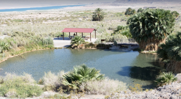 The Little Known Natural Oasis Hiding In Nevada That’s Impossible Not To Love