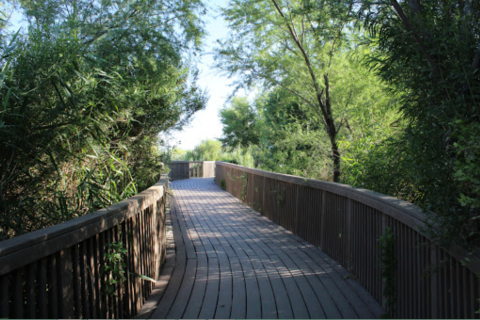 Follow This Boardwalk Trail Into Nevada's Little-Known Natural Oasis