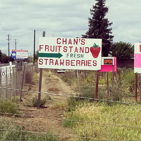 Take The Whole Family On A Day Trip To This Pick-Your-Own Strawberry Farm In Northern California