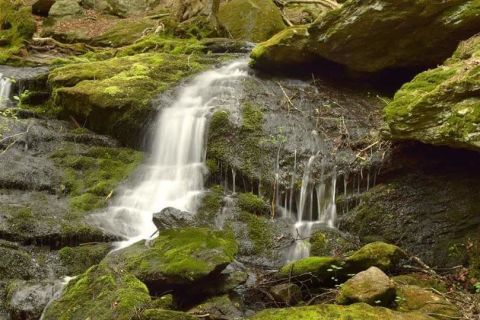 This Magical Waterfall Trail In Connecticut Is The First Hike You'll Want To Take This Spring