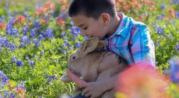 The Adorable Bunny Farm In Texas Your Whole Family Will Love