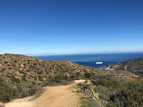 The Stunning Hike In Southern California That Has Sweeping Views Of The Ocean