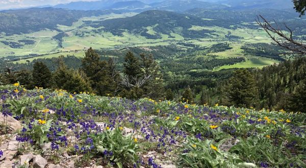 This Invigorating Montana Trail Takes You Straight To The Top Of The World