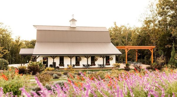 The Dreamy Lavender Farm In Missouri You’ll Want To Visit This Spring