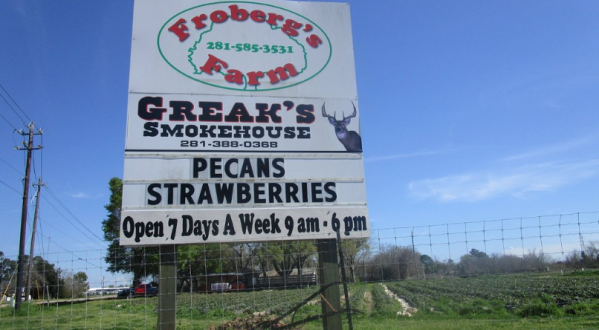 Take The Whole Family On A Day Trip To This Pick-Your-Own Strawberry Farm In Texas