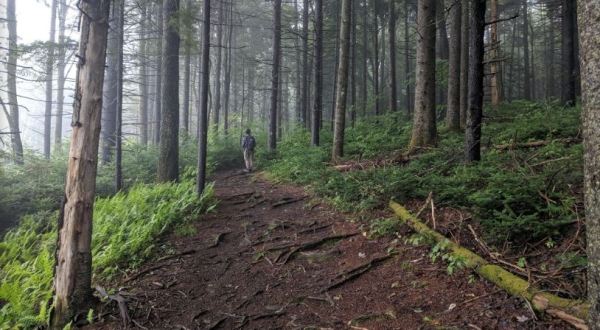 You’ll Want To Take This Irresistible 90-Minute Hike In Vermont Again And Again