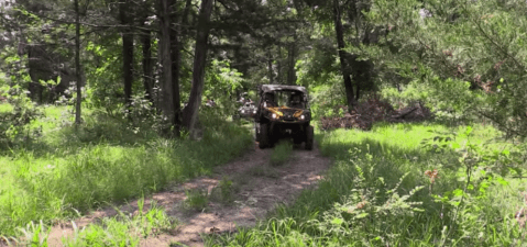 The Middle Of The Woods Adventure In Oklahoma With Just The Right Amount Of Thrill