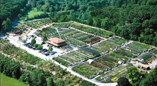 You Could Spend Hours Exploring This Massive Nursery In Maryland