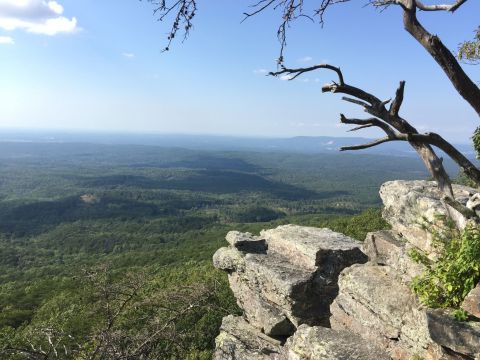 The Magnificent Overlook In Alabama That's Worthy Of A Little Adventure