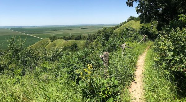 11 Brief But Beautiful Hikes In Iowa You Can Take In Under An Hour