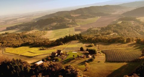 This Perfect Oregon Vineyard Has Amazing Wine And Even Lets You Spend The Night