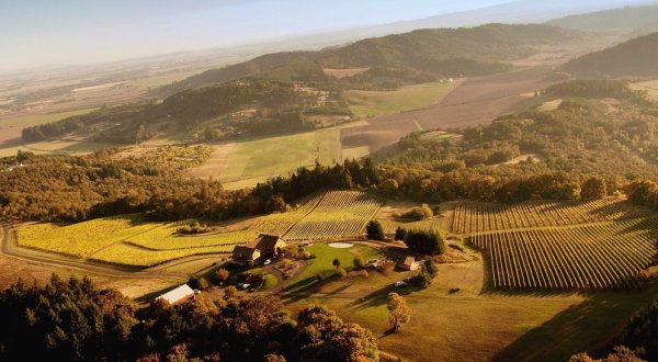 This Perfect Oregon Vineyard Has Amazing Wine And Even Lets You Spend The Night