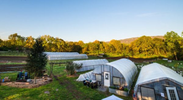 This Farm In Chattanooga Is The Perfect Place To Escape To The Tennessee Countryside