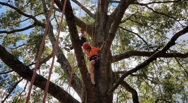 Practice Your Tree Climbing Technique At This Stunning Georgia State Park