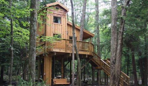 Wake Up Among The Treetops At These Enchanting Treehouses In Maryland