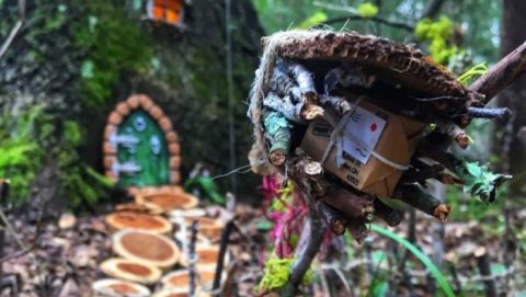 Few People Know There’s An Enchanting Fairy Garden Trail Hiding In Texas