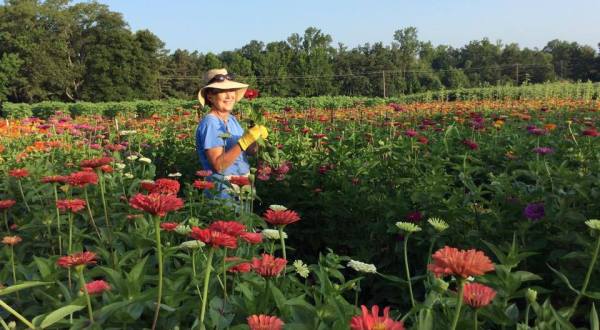 The Dreamy Flower And Berry Farm In Arkansas You’ll Want To Visit This Spring