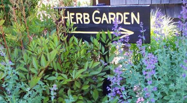 The Enchanting Herb Farm In Colorado That Feels Like A Fairy Tale Come To Life