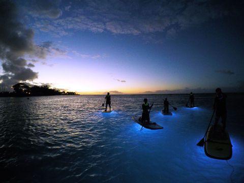 The Glowing Boat Adventure In Hawaii You Didn't Know You Needed In Your Life