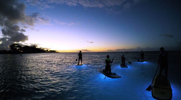 The Glowing Boat Adventure In Hawaii You Didn’t Know You Needed In Your Life