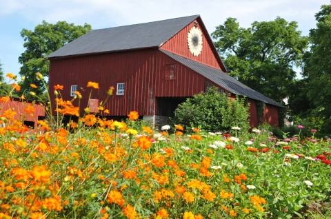 It Doesn't Get Much Better Than This Whimsical Pick-Your-Own Flower Garden In Virginia