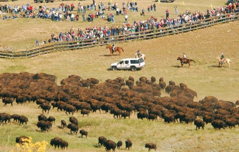 The South Dakota Festival That Was Just Named One Of The Best In The World