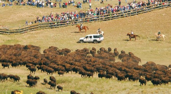 The South Dakota Festival That Was Just Named One Of The Best In The World
