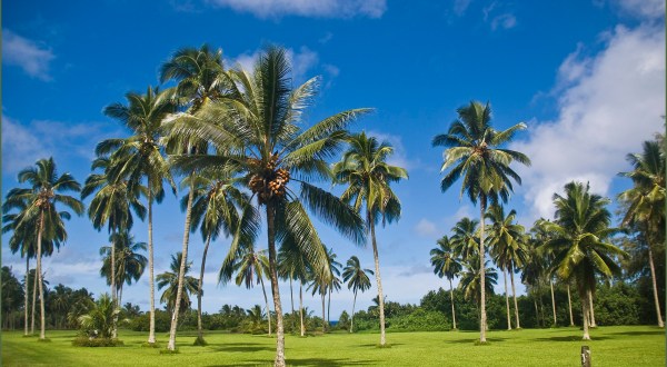 This Beautiful 294-Acre Botanical Garden In Hawaii Is A Sight To Be Seen
