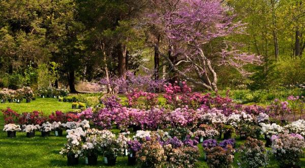 This Beautiful 91-Acre Botanical Garden In Connecticut Is A Sight To Be Seen