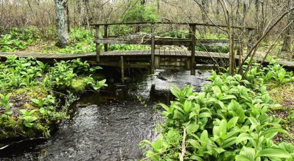 7 Out-Of-This-World Hikes In Rhode Island That Lead To Fairytale Footbridges